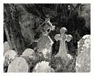 Friedhof, 1999